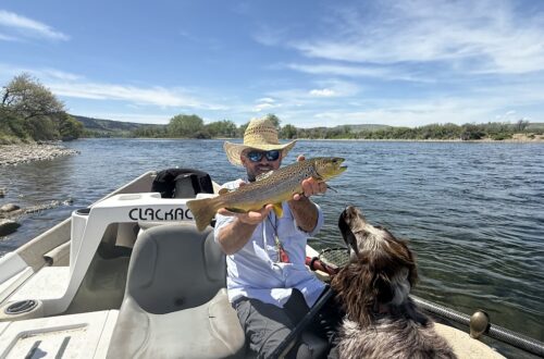 fly fishing montana