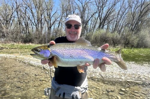 fly fishing Montana